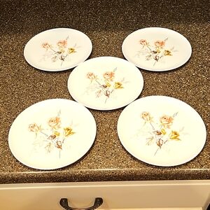 5 VTG Melmac Durawear Rose Brown Floral Dessert Salad Plates Flowers 7" Diameter